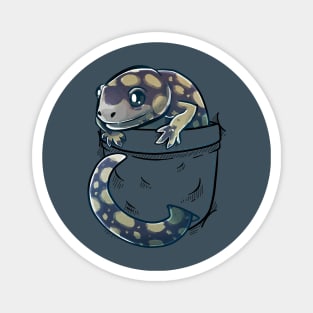 Pocket Cute Tiger Salamander Magnet